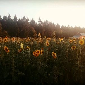 Meet your Posher, Beverly